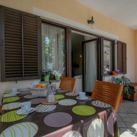 Apartment Sanja Novigrad Istria Exteriér fotografie