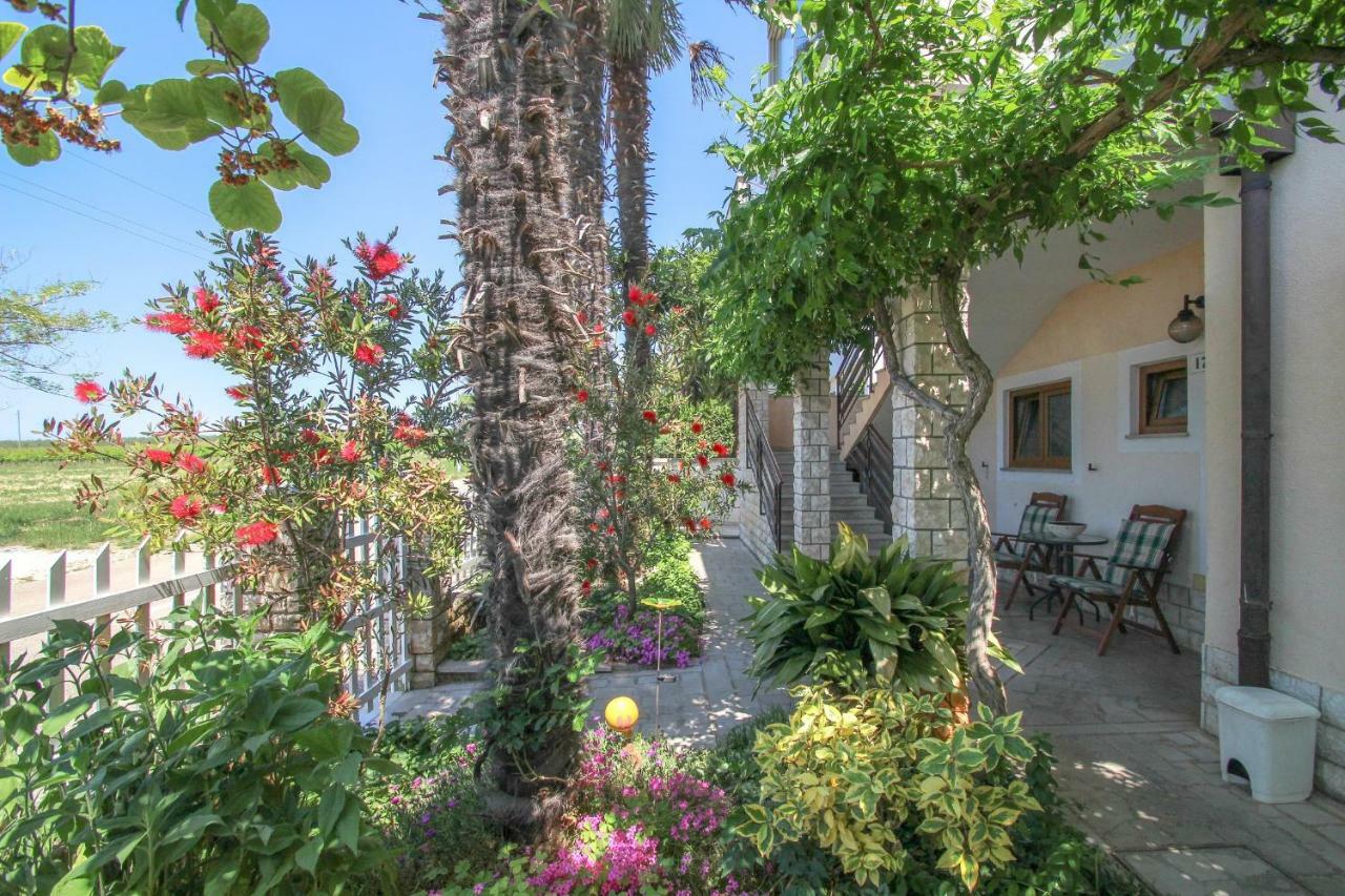 Apartment Sanja Novigrad Istria Exteriér fotografie
